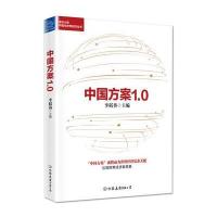 中国方案1 0