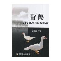 番鸭饲养管理与疾病防治