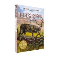 动物小说王国 沈石溪自选中外精品 来自荒原的狼