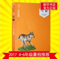 雪狼动物小说精品少年读本2017小学生4-5-6四五六年级暑假推荐阅读课外读物6-12岁儿童文学高年级教育推荐 预定