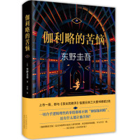 伽利略的苦恼:《嫌疑人X的献身》之后的故事