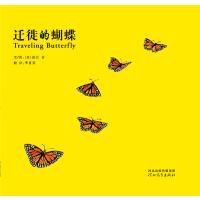 迁徙的蝴蝶