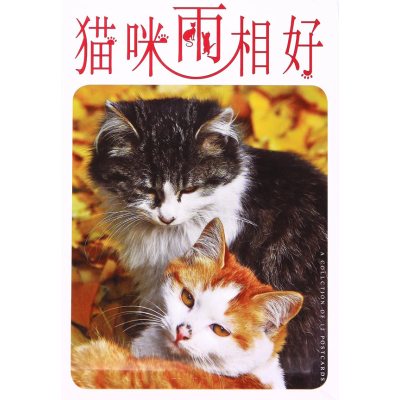 猫咪两相好(明信片)