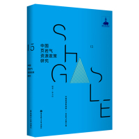 中国页岩气资源政策研究