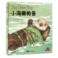 小海獭帕普