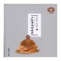 少林寺内功述真(附dvd)