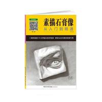 素描石膏像从入门到精通