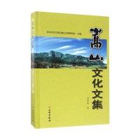 嵩山文化文集