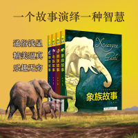 动物故事系列丛书(全4册)象族故事 狮族故事 鸟族故事 狼族故事