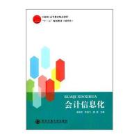 会计信息化(互联网+高等教育精品课程“十三五”规划教