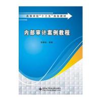 内部审计案例教程