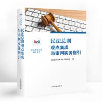民法总则观点集成与审判实务指引