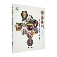 游学非洲 非洲研究院师生行走非洲十年纪实