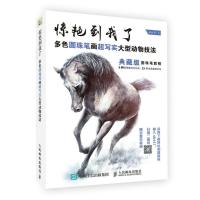 惊艳到我了 多色圆珠笔画超写实大型动物技法
