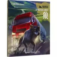 黑鹤动物小说儿童彩绘拼音版 穿越高速公路的狼