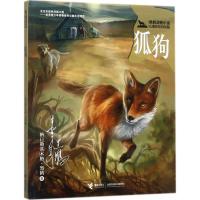 黑鹤动物小说儿童彩绘拼音版 狐狗