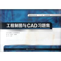 工程制图与CAD习题集(柳青)