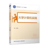 大学计算机实践(普通高等教育“十三五”规划教材)