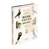 西方手绘珍稀驯化鸽:临摹与涂色