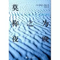 莫称之为夜晚(精装)