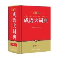 彩图版成语大词典(32开)
