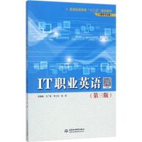IT职业英语(第三版)(普通高等教育“十三五”规划教材(