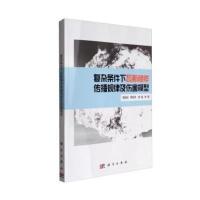 POD-复杂条件下瓦斯爆炸传播规律及伤害模型