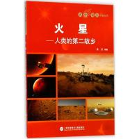 天外有天系列:火星