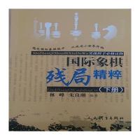 象棋残局精粹(下册)