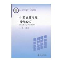 中国能源发展报告2017
