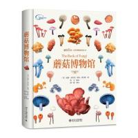 蘑菇博物馆