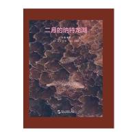 二月的纳特龙湖