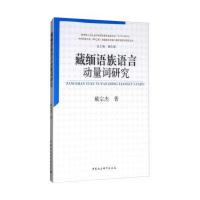 藏缅语族语言动量词研究