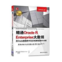 精通Oracle R Enterprise大数据 在Oracle数据库中充分