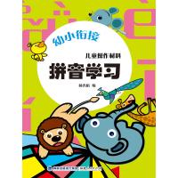 幼小衔接·儿童操作材料·拼音学习