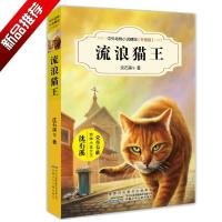 流浪猫王/沈石溪中外动物小说精品升级版 9-12岁儿童文学励志动物成长故事 三四五六年级中小学生课外阅读书籍 沈石溪的书