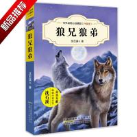 狼兄狼弟/沈石溪中外动物小说精品升级版 9-12岁儿童文学励志动物成长故事书 三四五六年级中小学生课外阅读书籍 沈石溪系