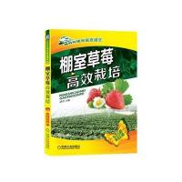 棚室草莓高效栽培