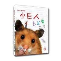我的大仓鼠系列-小巨人去上学