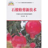 石榴修剪新技术
