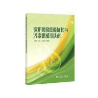 锅炉燃烧性能优化与污染物减排技术