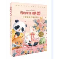 红背蜘蛛的神秘婚礼:动物联盟