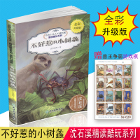 不好惹的小树螽 沈石溪精读酷玩系列 全彩升级版 浙江教育出版社 动物小说大王沈石溪小学三四五六年级动物故事书 少年儿童文