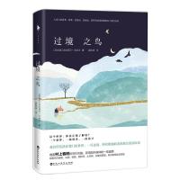 过境之鸟