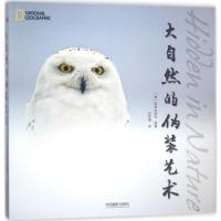 大自然的伪装艺术