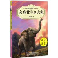 舍身救主的大象