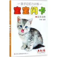 家养动物