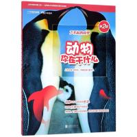 动物你在干什么