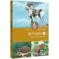 偷鸟蛋的兽/明天韵文阅读馆/薛卫民