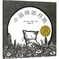 小猫咪追月亮